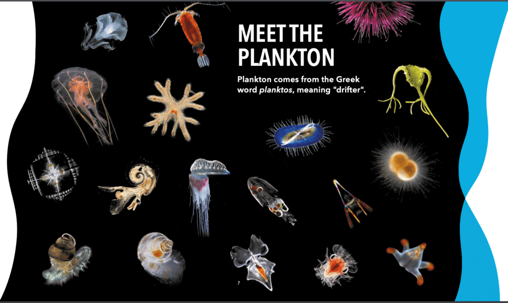 Plankton